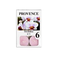 Čajová sviečka PROVENCE 6ks orchidea