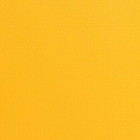 Plastové prestieranie TORO 28,5x44cm žlté